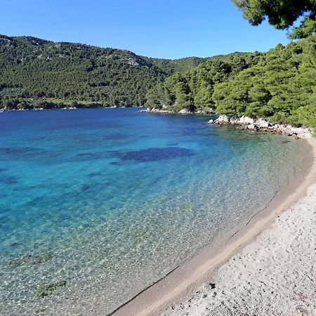 Apartments By The Sea Zuljana, Peljesac - 19080 Extérieur photo