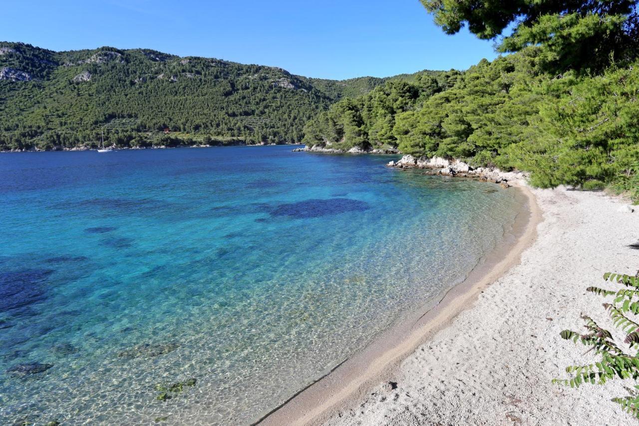 Apartments By The Sea Zuljana, Peljesac - 19080 Extérieur photo